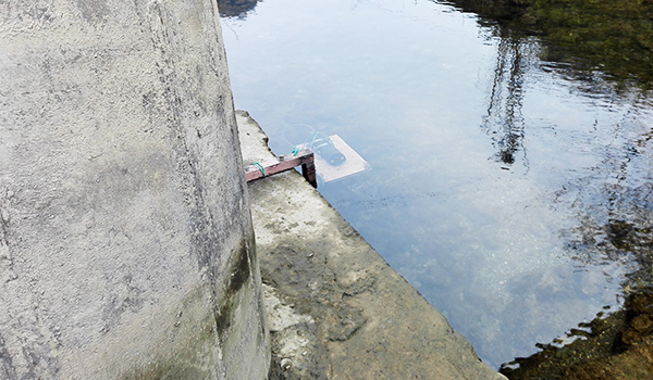 170064218191815.jpg 500.2.jpg