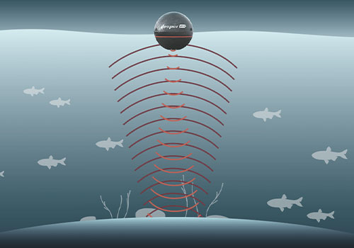 超聲波驅魚換能器 超聲波驅魚換能器